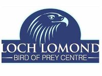 Loch Lomond Bird of Prey Centre — See Loch Lomond :: What to do in Loch  Lomond and Trossachs